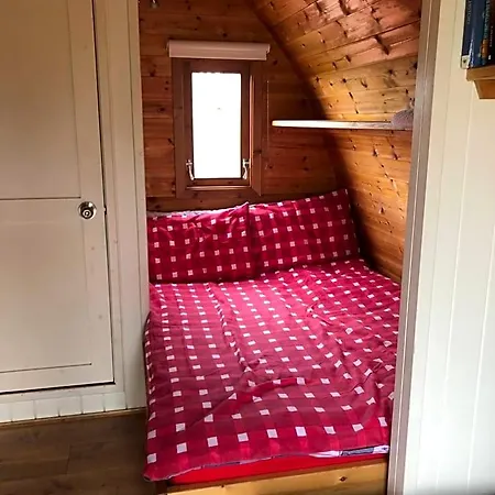 The Rainbow Pod *